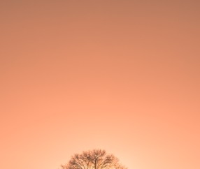 福州哪个捐卵机构好，附各大医院卵源等待时间！